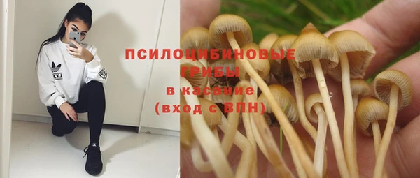 дживик Алзамай