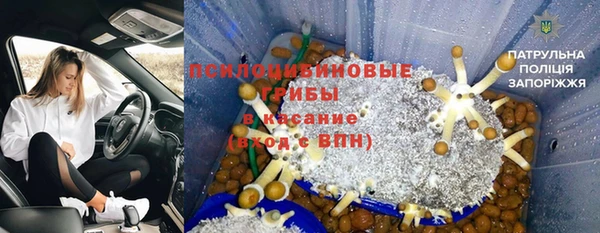 PSILOCYBIN Абинск