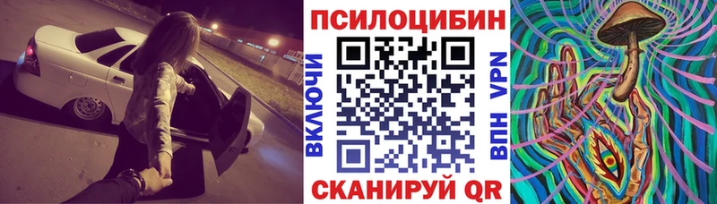 blacksprut онион  Сочи  Псилоцибиновые грибы Psilocybe  хочу наркоту 