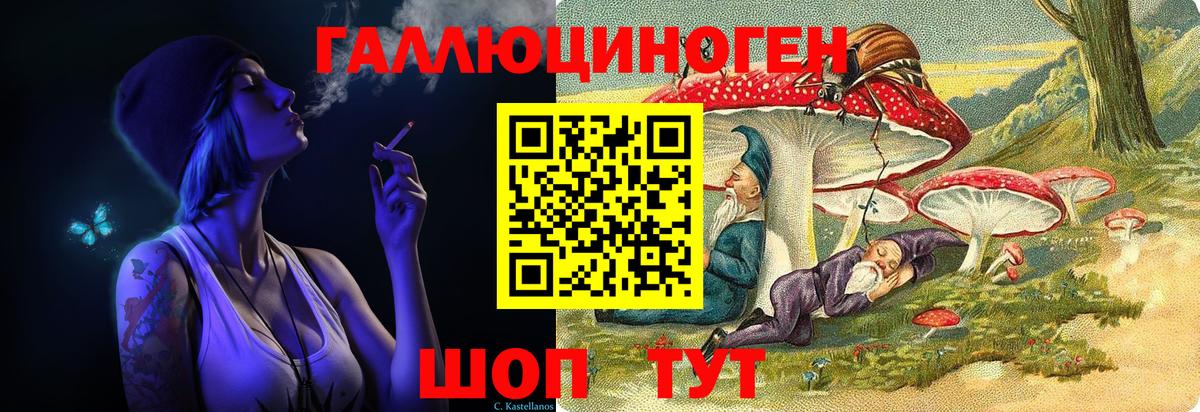 Галлюциногенные грибы Psilocybine cubensis Сочи