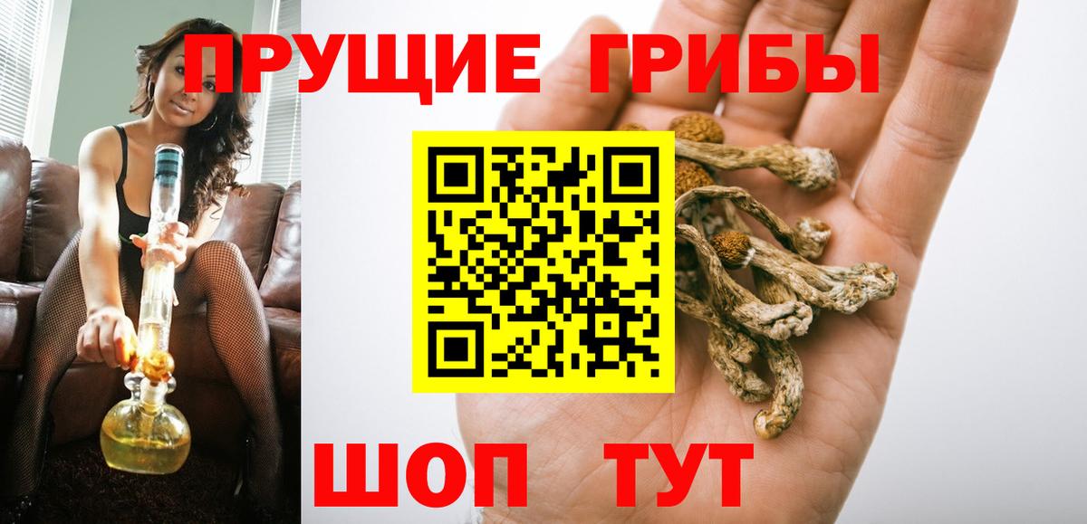 Сочи  Галлюциногенные грибы мухоморы  Псилоцибиновые грибы Psilocybe  Вход с VPN 